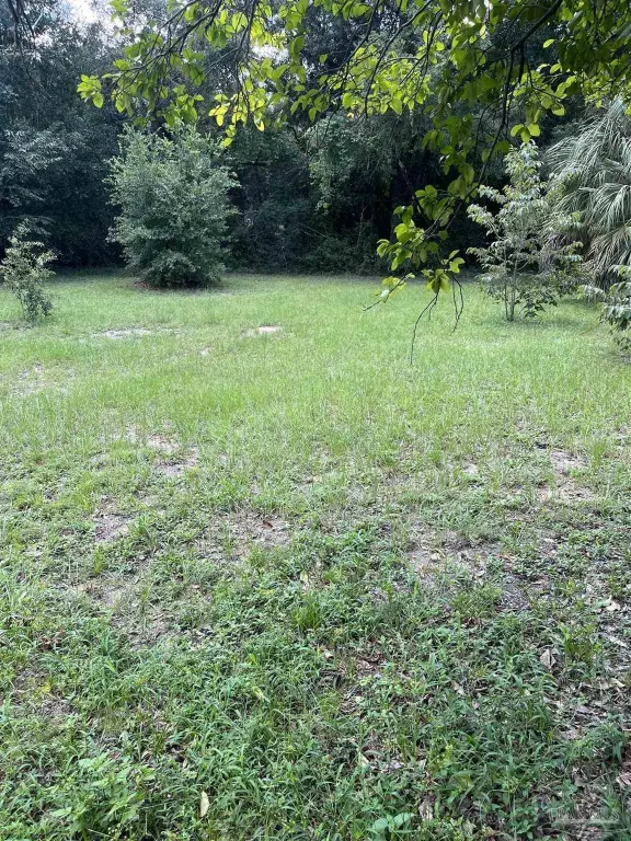 Picture 7