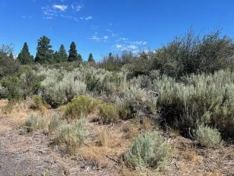 Oregon Shores Residential Land