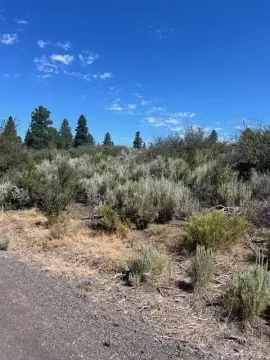 Oregon Shores Residential Land
