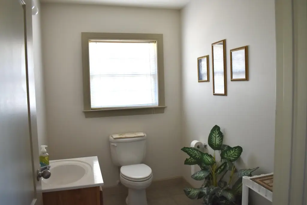 Picture 21