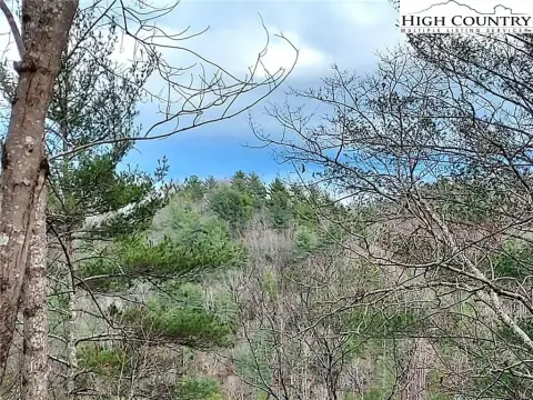 Wooded Land in Equestrian Community