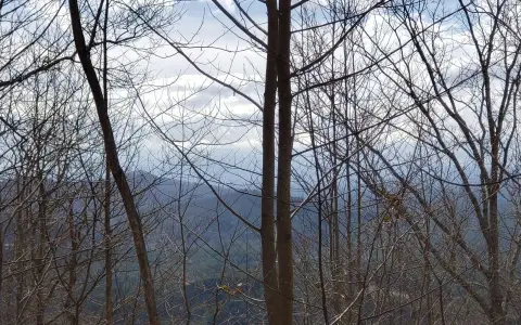 Vacant Land in Copperhill, TN