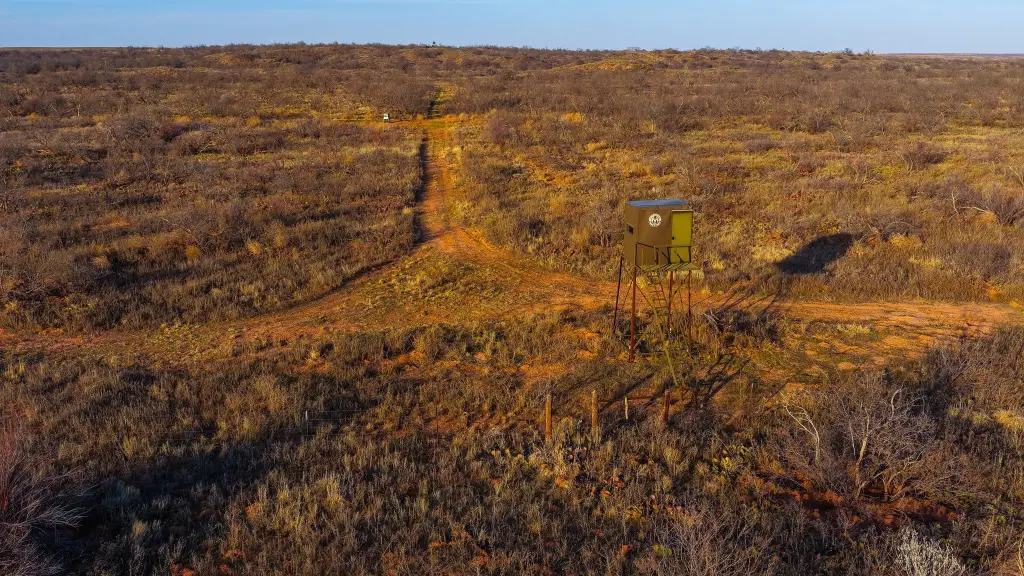 Picture 10