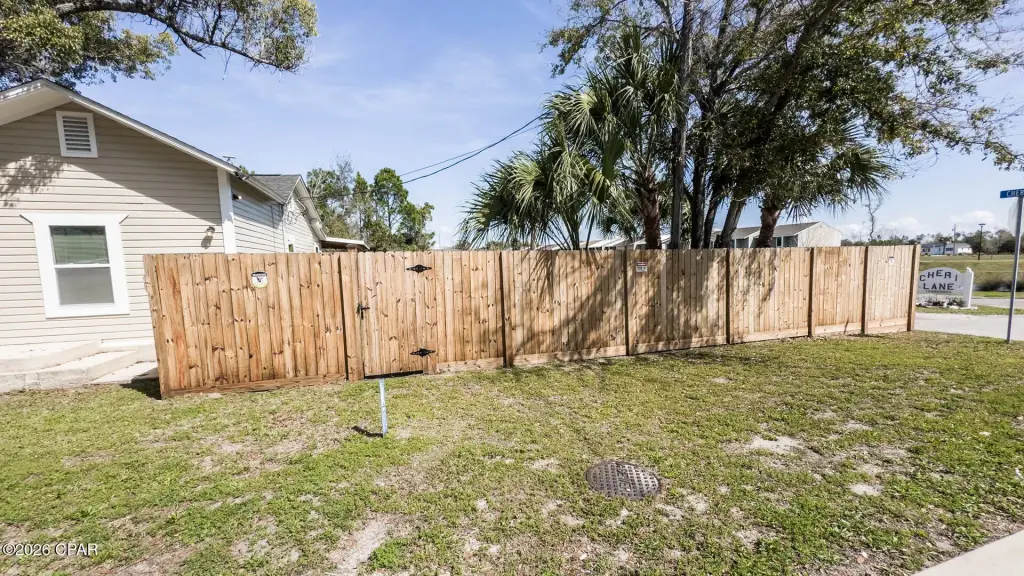 Picture 41