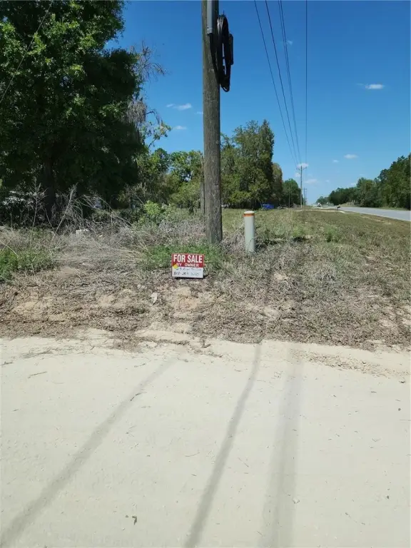 Picture 19