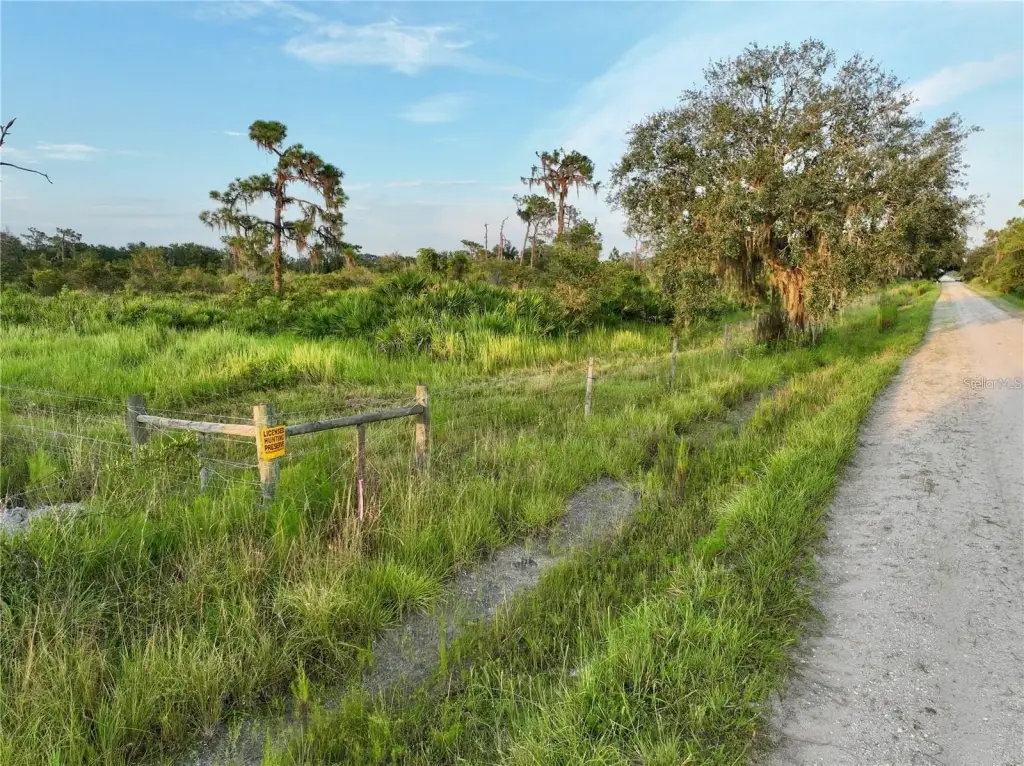 Picture 23