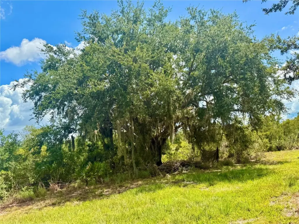 Picture 39