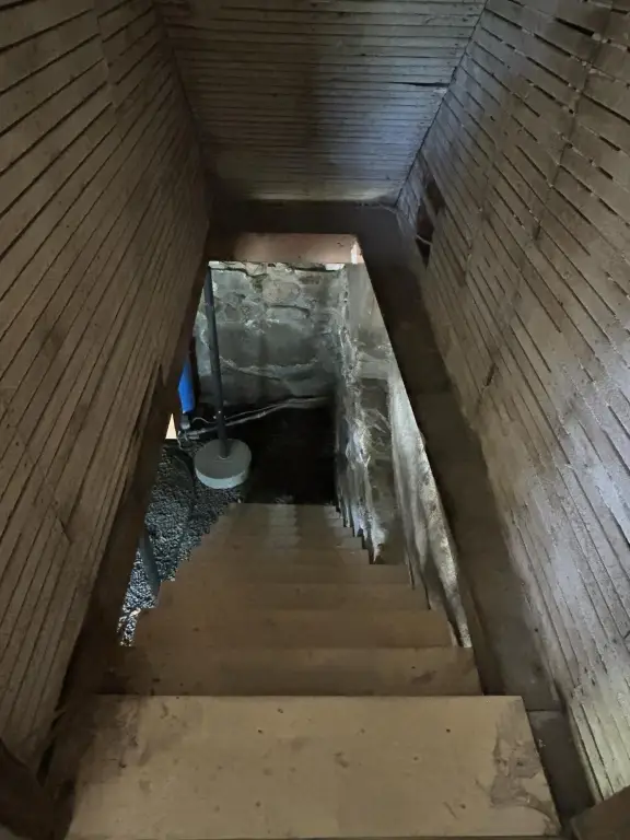 Picture 21