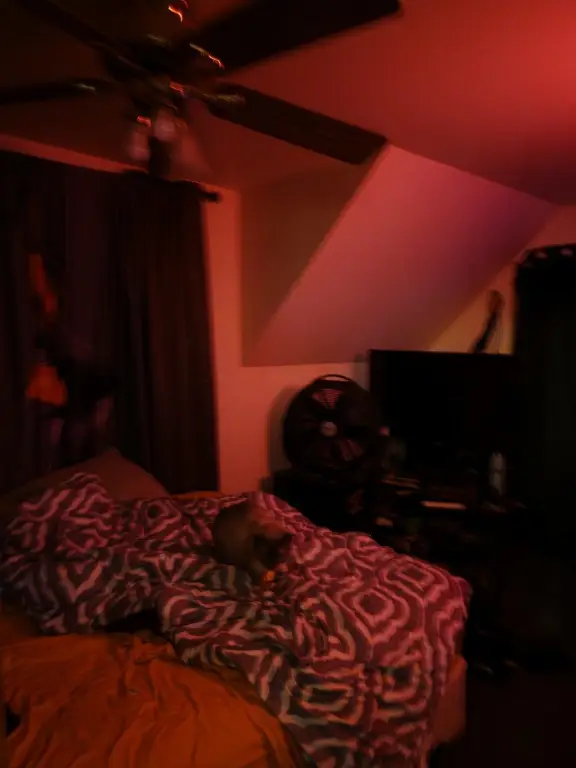 Picture 21