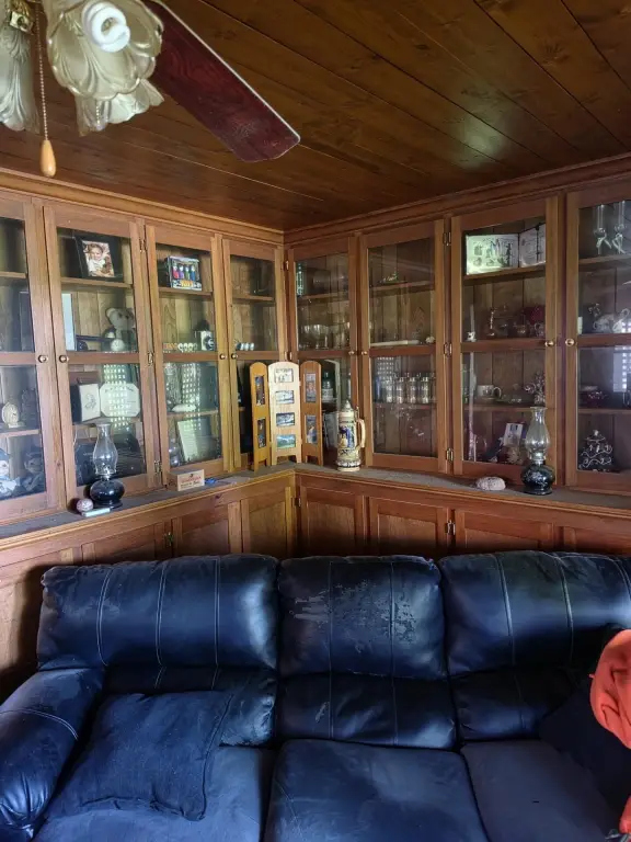 Picture 5