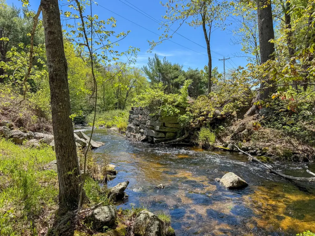 Picture 8