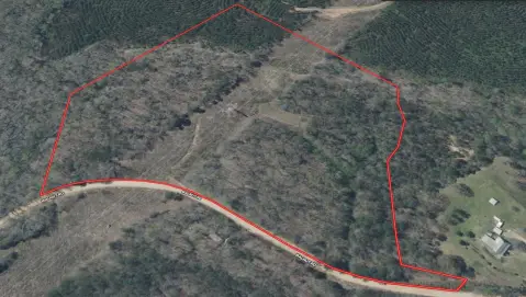 Millport Acreage: Wooded Land Opportunity