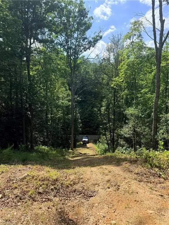Picture 20