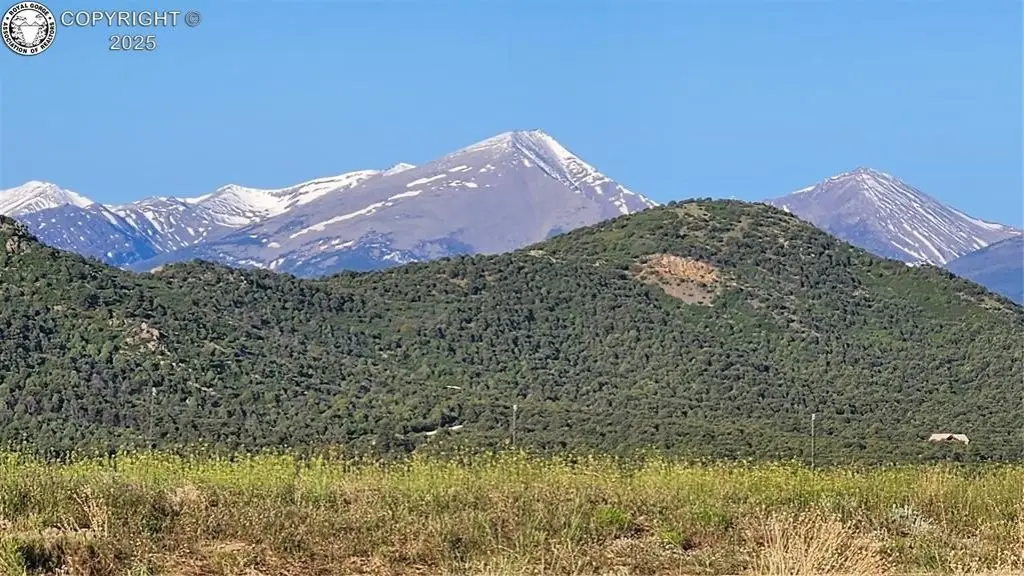 Picture 24