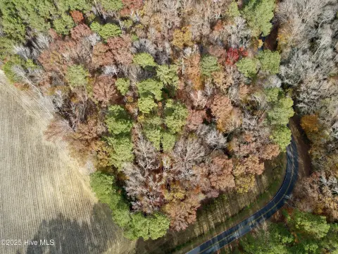 Unrestricted Wooded Lot in Williamston