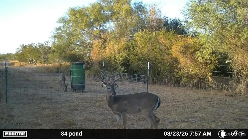 Picture 3