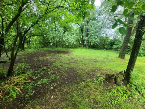 Buildable Lot in Avoca, WI