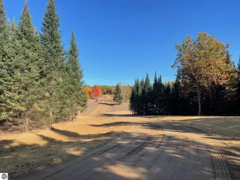 Wooded Land Near Fife Lake