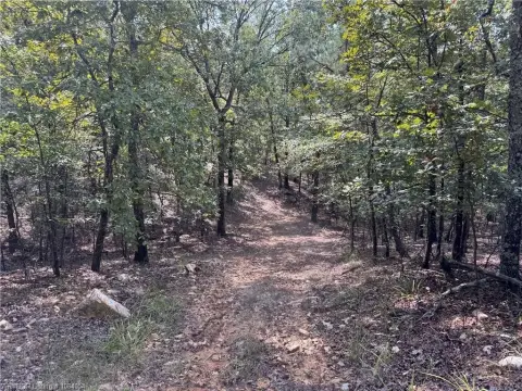 Secluded Recreational Land in Garland
