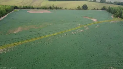 80 Acres of Farmland