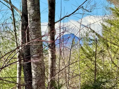 Large Lot in Mountain Community