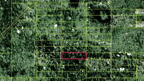 Wooded Land in Luce County