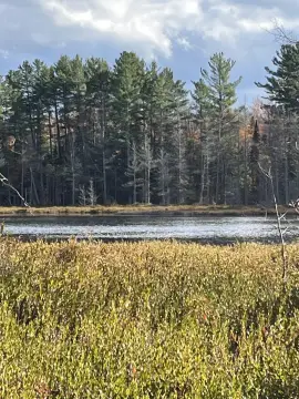 Waterfront Land Parcel on Chesbrough Lake