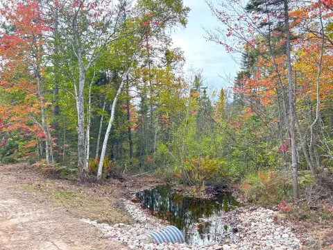 Land Adjacent to State Land