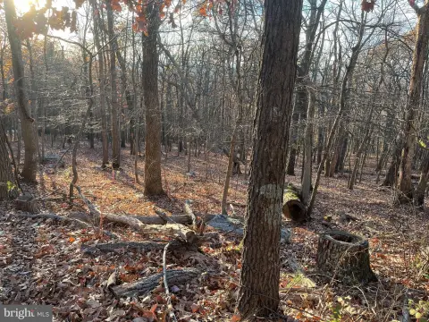 Harpers Ferry Wooded Lot