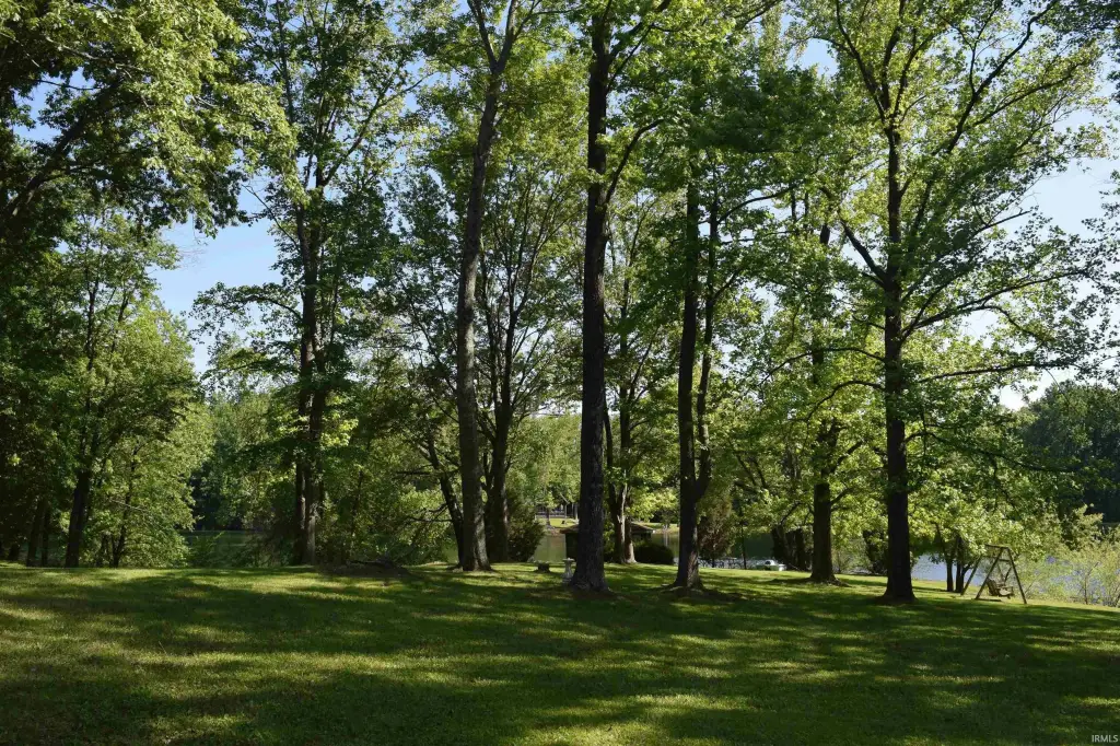 Picture 15