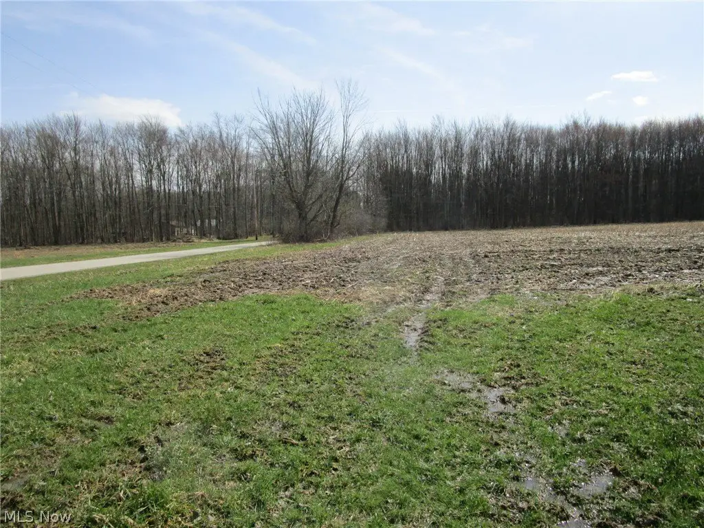 Picture 41