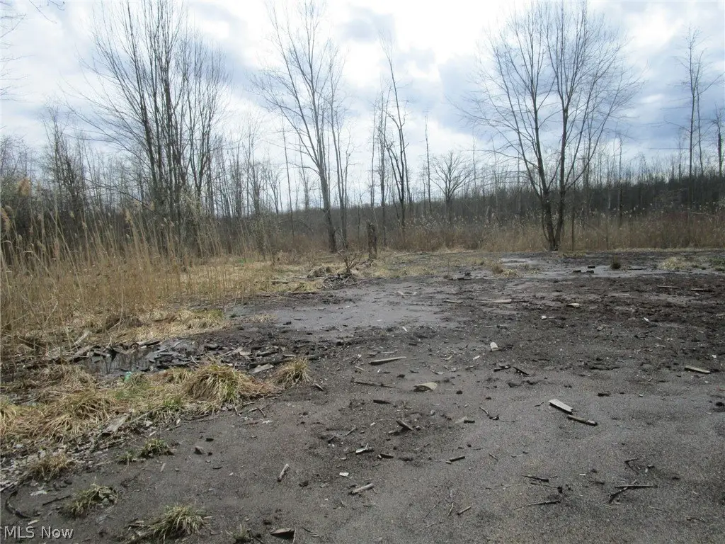 Picture 29
