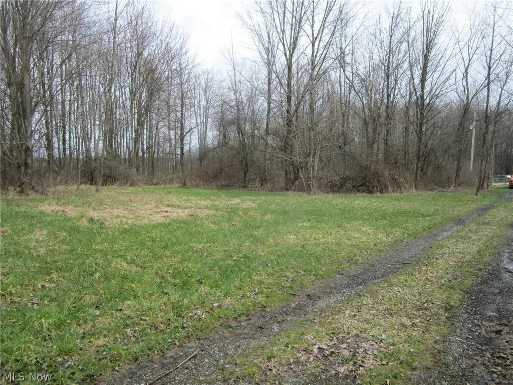 Picture 6