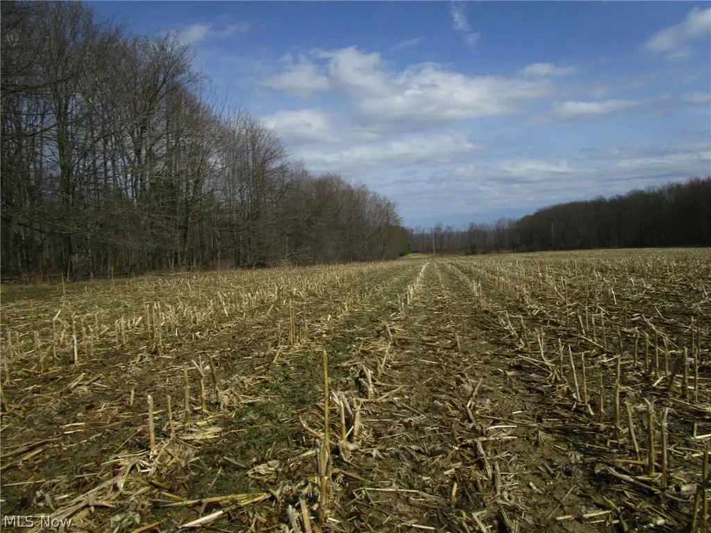 Picture 36