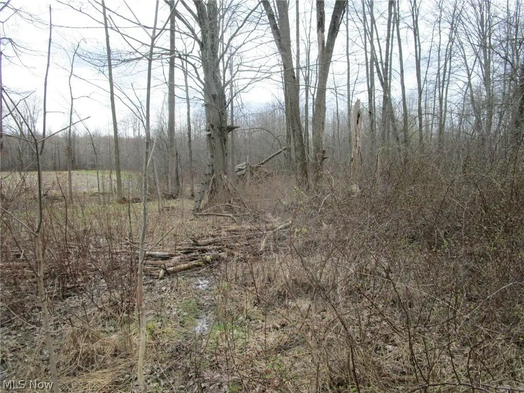 Picture 27