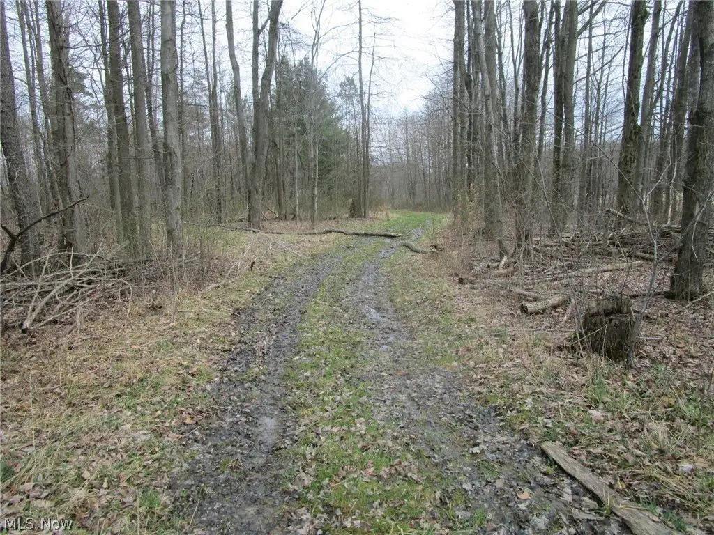 Picture 24