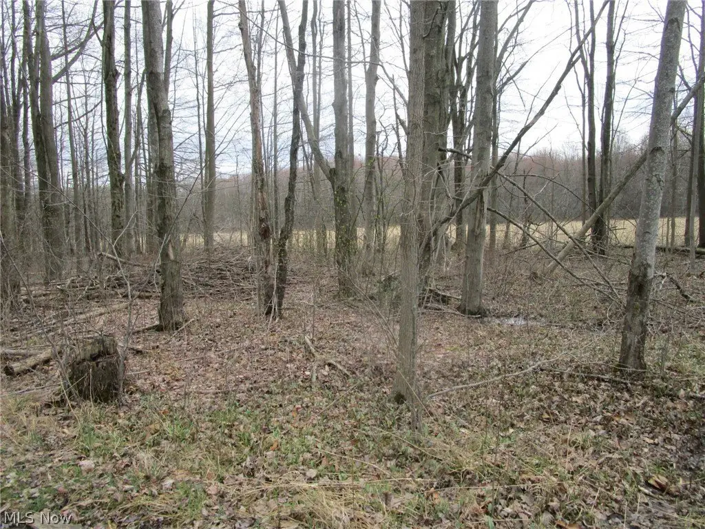 Picture 23