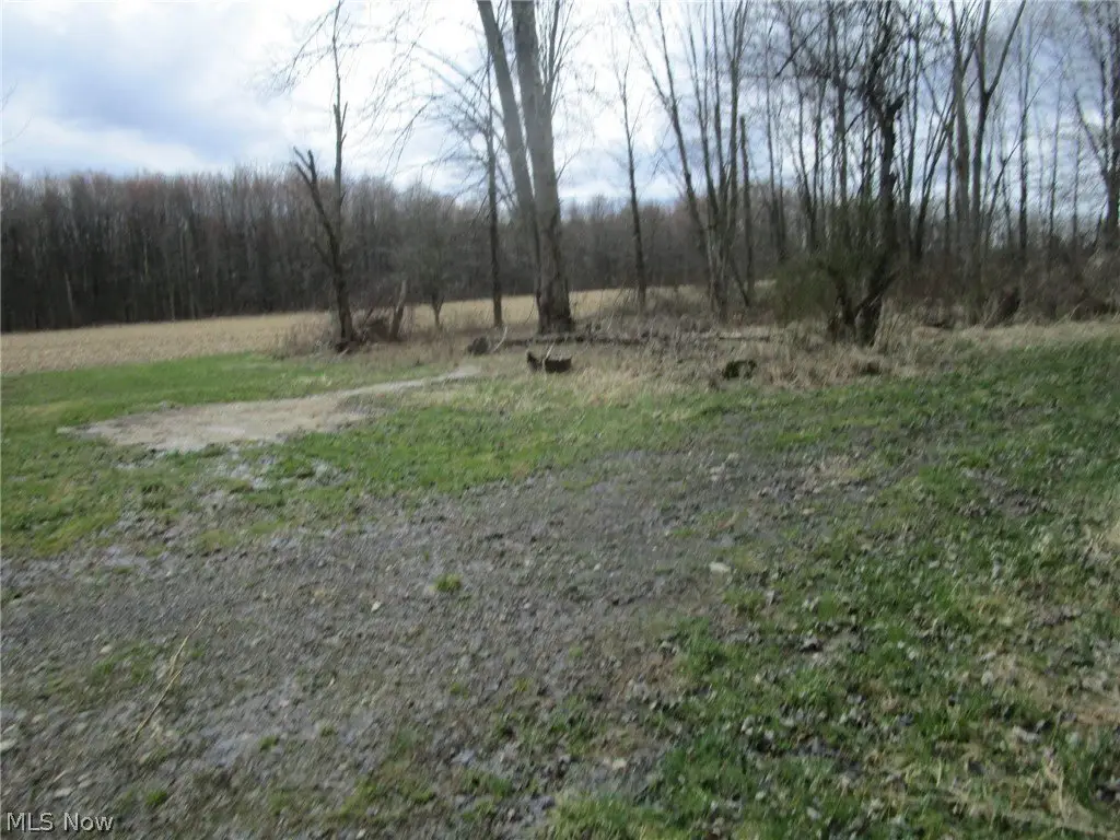 Picture 14