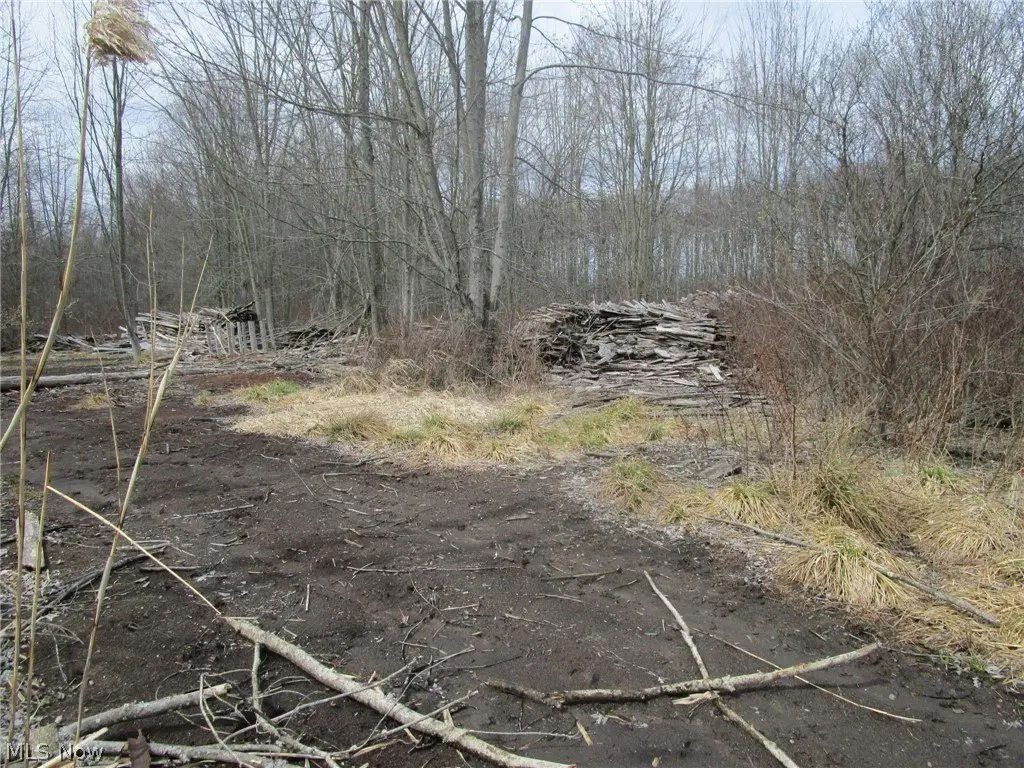 Picture 28