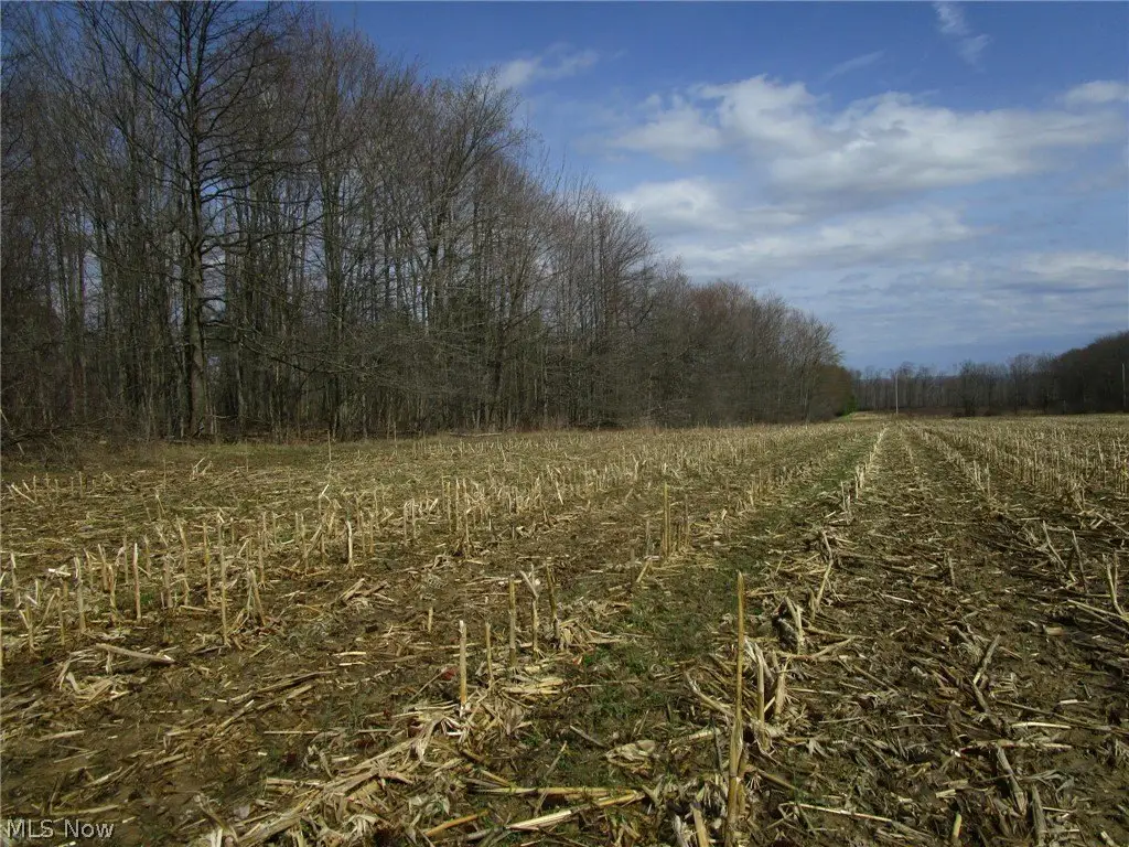 Picture 37