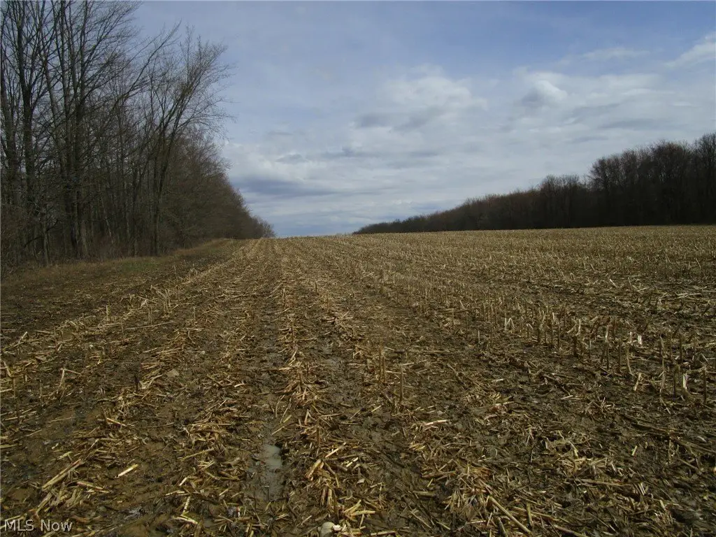 Picture 32