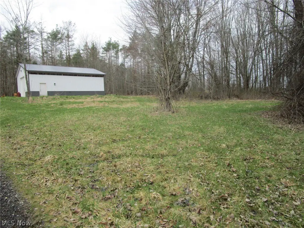 Picture 3