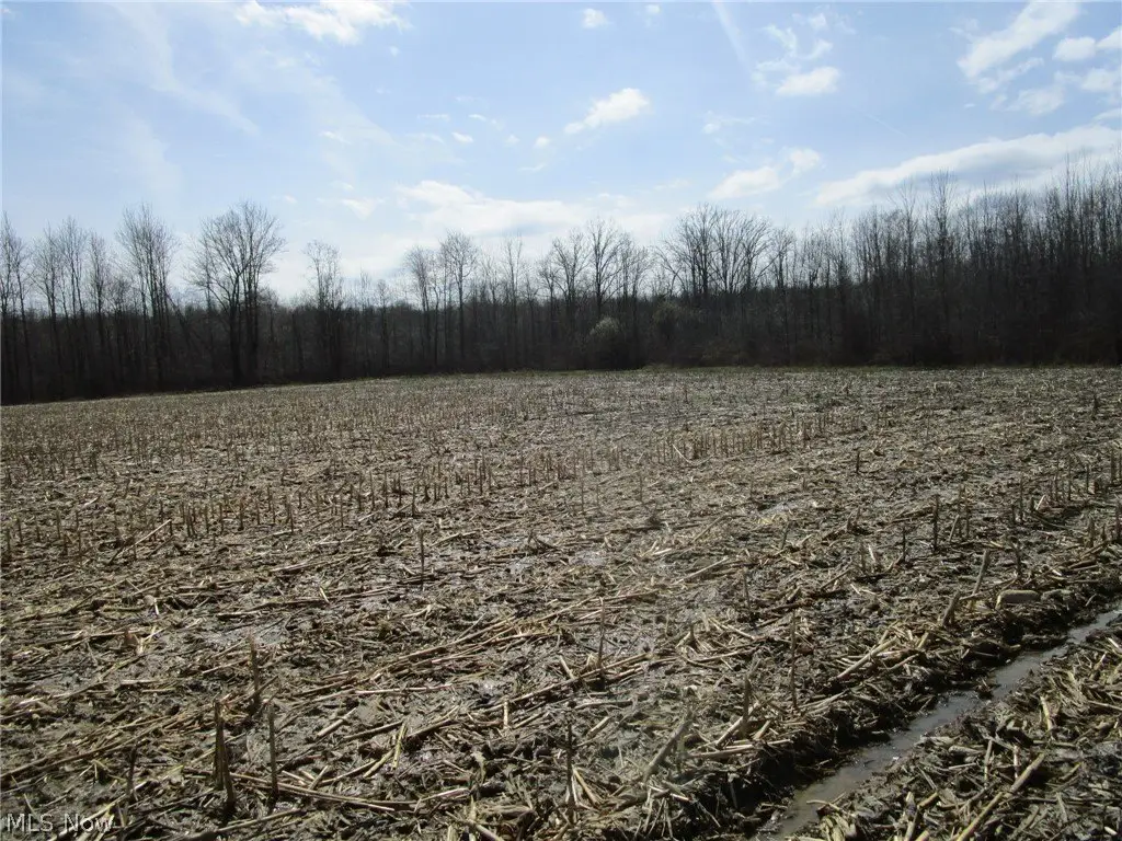 Picture 35