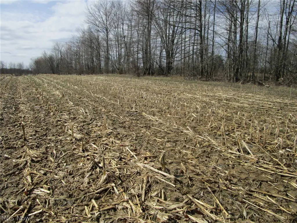 Picture 38