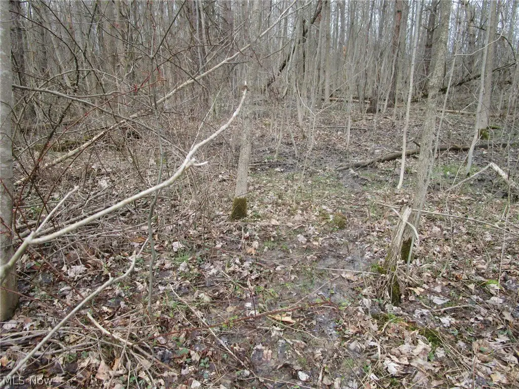 Picture 17