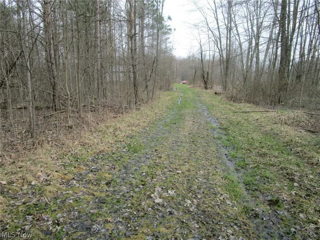 Picture 18