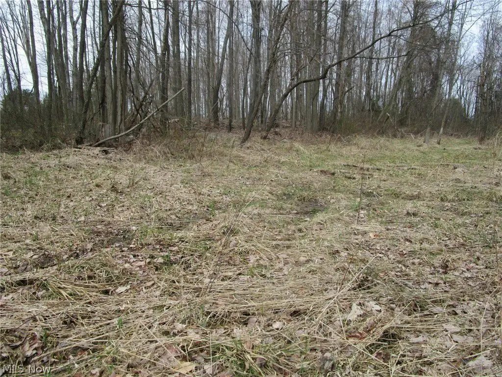 Picture 21