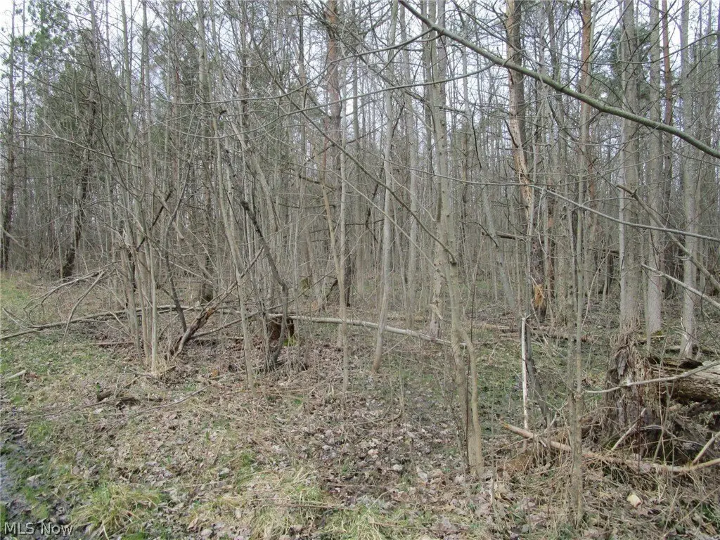 Picture 16