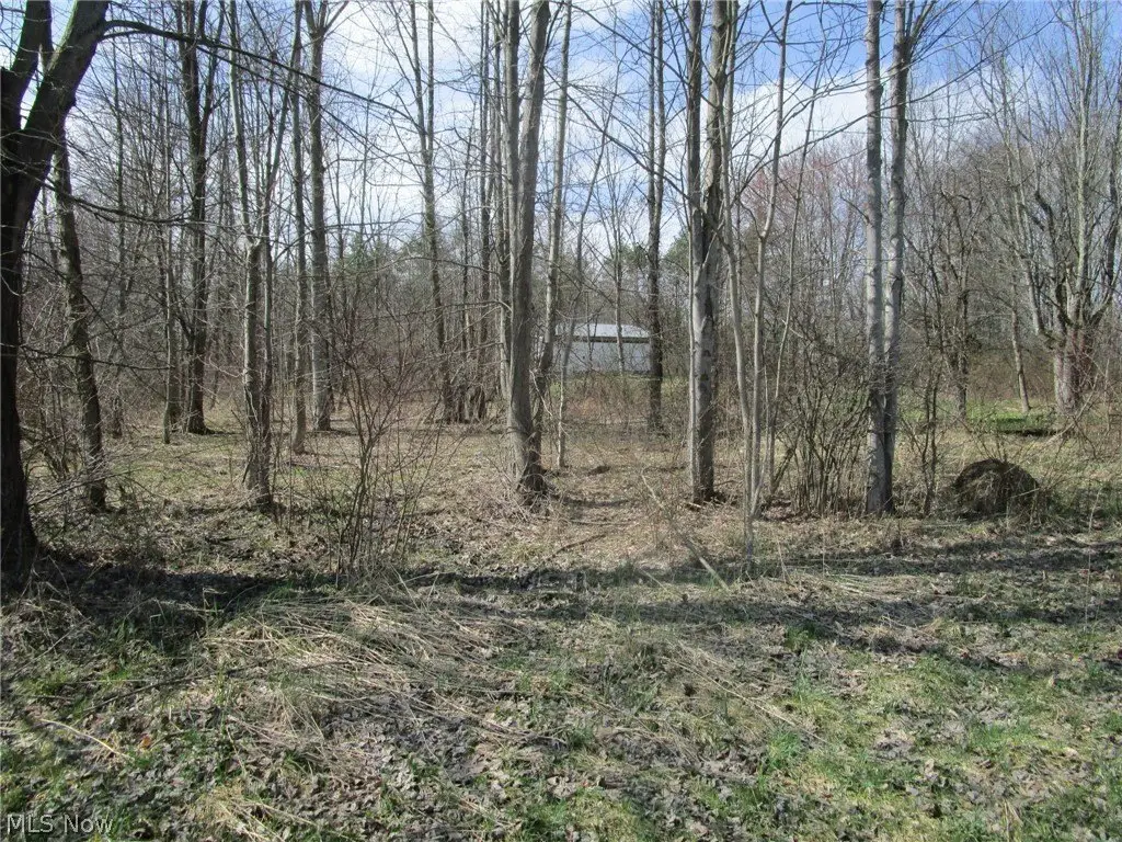 Picture 40