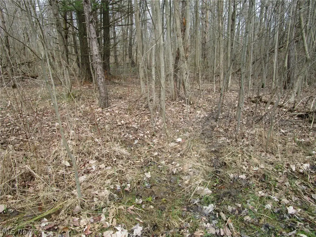 Picture 20